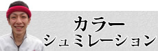 カラーシュミレーション